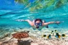 Top Things to do in Mexico
